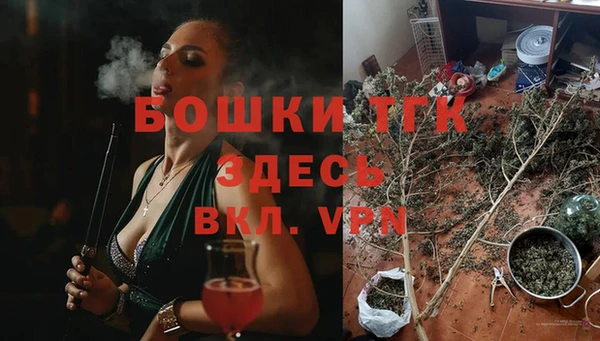 дмт Сосновоборск