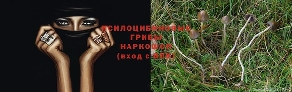 ALPHA-PVP Сосновка
